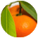 Citrus img