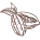 Cocoa