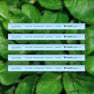 5 Pack [BEST SELLER - SAVE 15%]