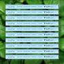 10 Pack [BEST VALUE - SAVE 20%]