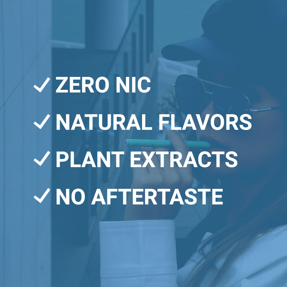 BOOST B12 / Berry Mint Pods