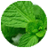 Peppermint & Cassia img