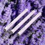 3 Pack [SAVE 10%]