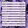 10 Pack [BEST VALUE - SAVE 20%]